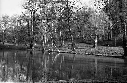 Erwin Klasen - Foto mit historischer Kamera der Trierer Firma Foitzik